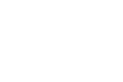 Delvi